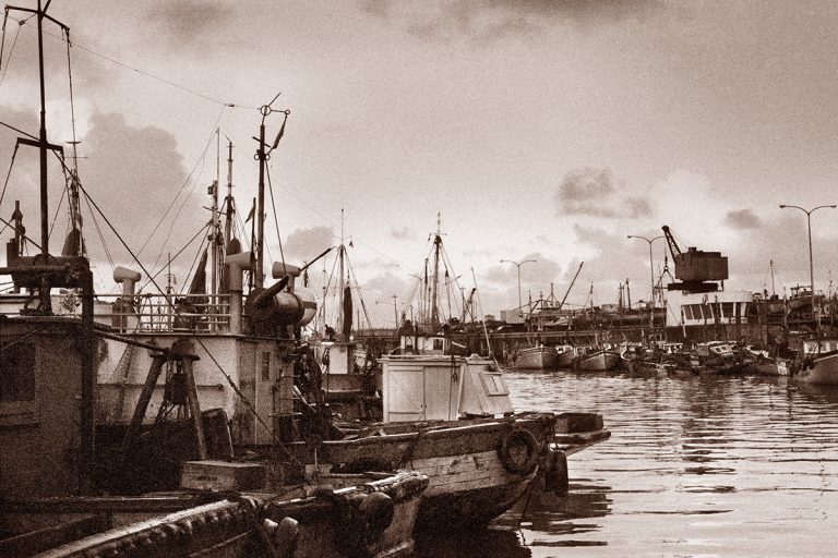 PUERTO DE PESCADORES / 13 / FISHERMAN´S PORT