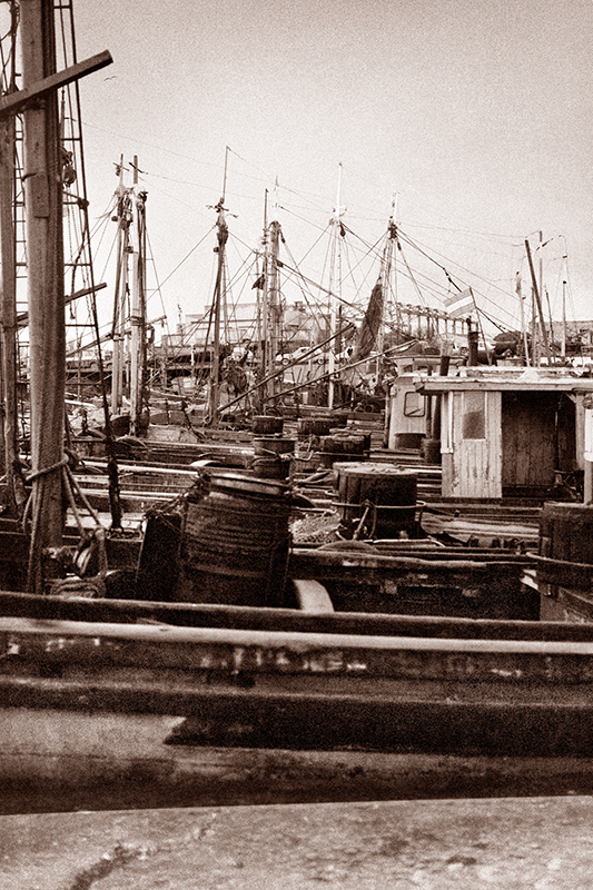 PUERTO DE PESCADORES / 2 / FISHERMAN´S PORT