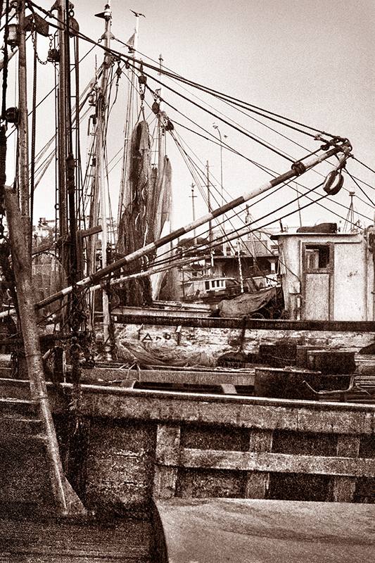 PUERTO DE PESCADORES / 3 / FISHERMAN´S PORT