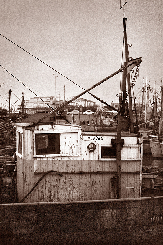 PUERTO DE PESCADORES / 5 / FISHERMAN´S PORT