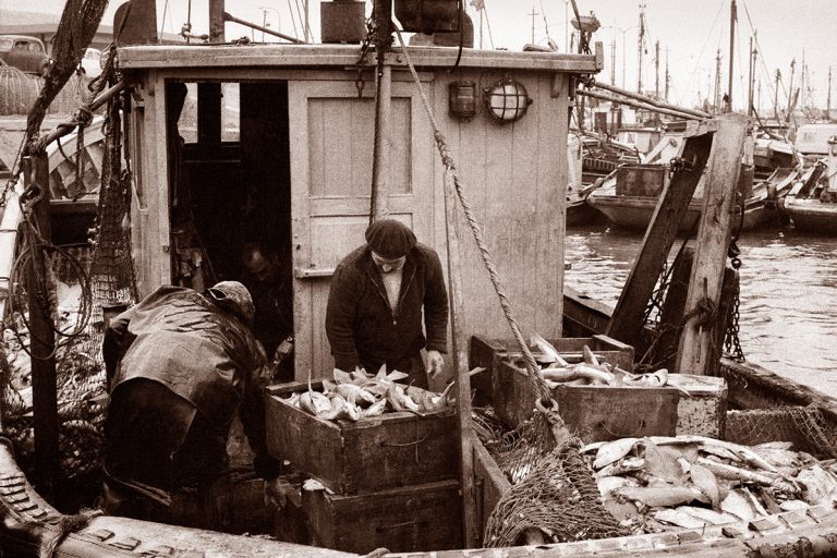 PUERTO DE PESCADORES / 7 / FISHERMAN´S PORT