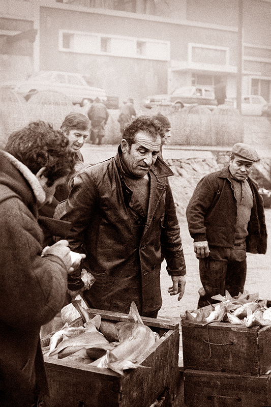 PUERTO DE PESCADORES / 8 / FISHERMAN´S PORT