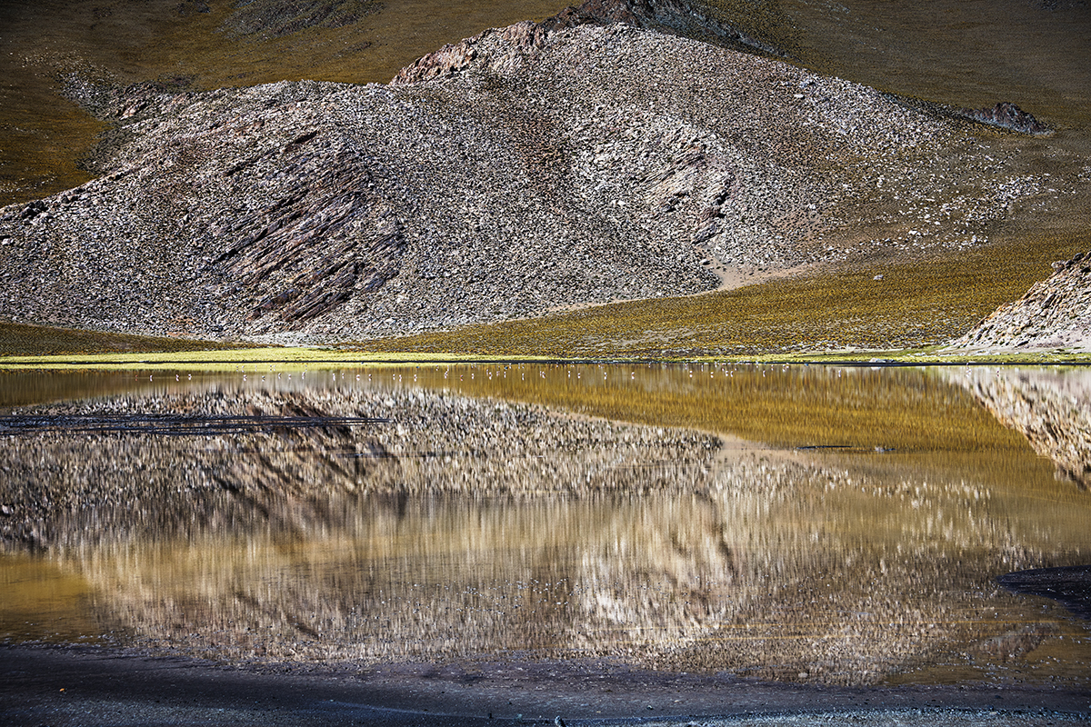 REFLEJOS / 3 / REFLECTIONS